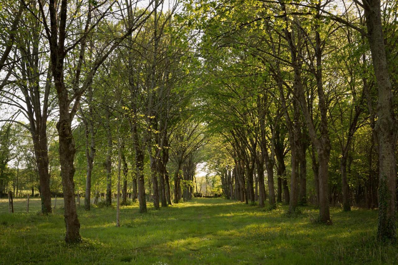 Chateau De Bois Charmant Les Nouillers Экстерьер фото